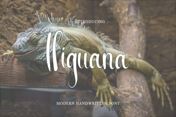 Higuana: A Fresh Handwritten Font for Modern Web Design