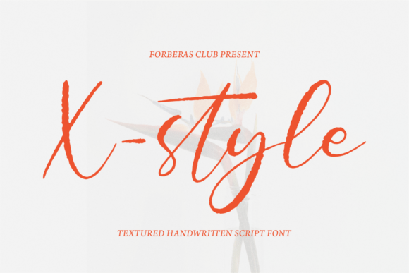 X Style: A Designer’s Review of This Elegant Script Amp Font