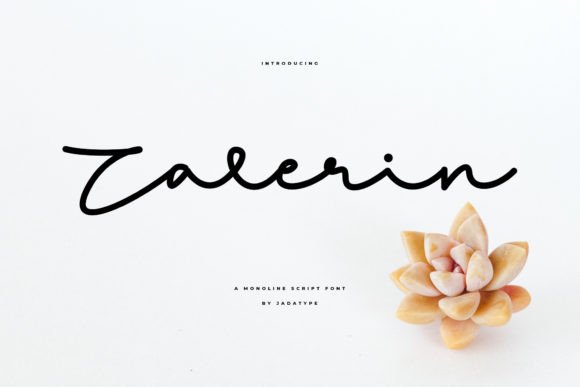Zalerin: How This Elegant Script Font Boosted Our Campaign’s Visual Impact